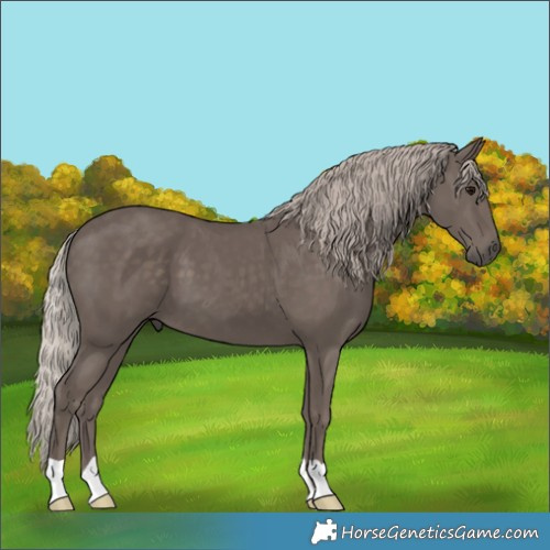 Horse Color:Silver Black