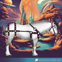 Horse Color:Gray Liver Chestnut Sabino Tobiano