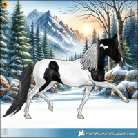 Horse Color:Black Ice Tobiano 