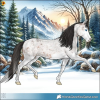 Horse Color:Brown Ice Roan Splash