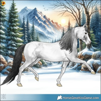 Horse Color:Gray Blue Ice Roan Tobiano Frame