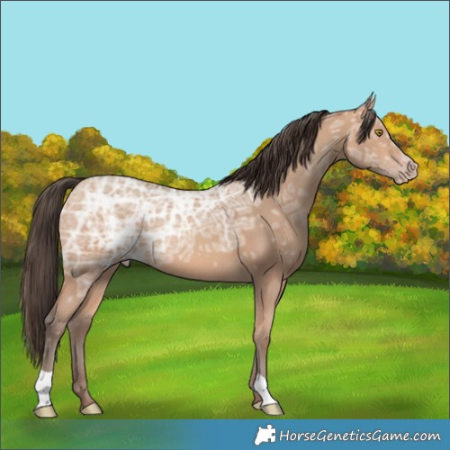 Horse Color:Amber Champagne Ice 