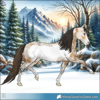 Horse Color:Buckskin Ice Frame 