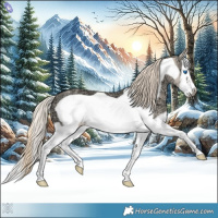 Horse Color:Perlino Ice Splash Frame