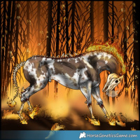 Horse Color:White Spotted Brown Dun Splash
