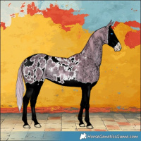 Horse Color:Watercolor Liver Red Dun Ice Splash Appaloosa 