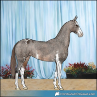 Horse Color:Brown Ice Dun Sabino Varnish