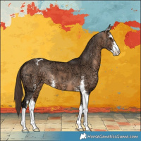 Horse Color:Brown Ice Dun Sabino Appaloosa