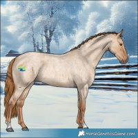 Horse Color:Red Dun Roan 
