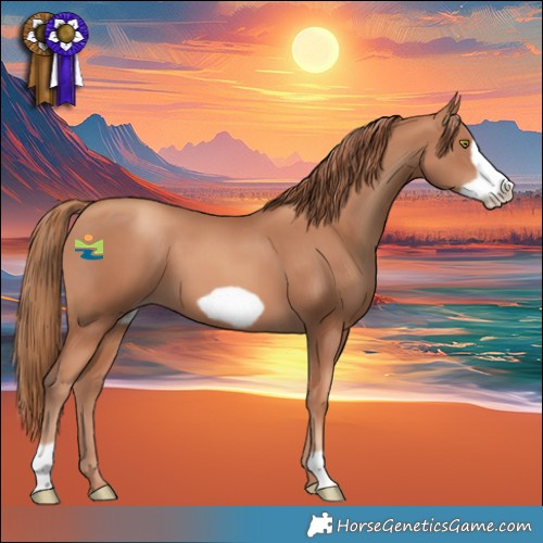 Horse Color:Gold Champagne Frame 