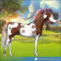 Horse Color:Chestnut Splash Tobiano Rabicano