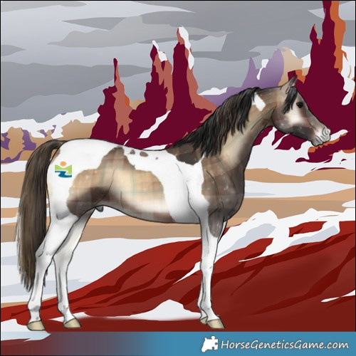 Horse Color:Plaid  Brown Onyx Tobiano 