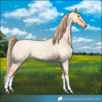 Horse Color:Red Dun Roan Splash Frame Rabicano 