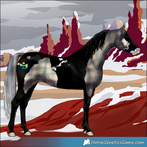 Horse Color:Plaid  Brown Onyx Splash Tobiano 