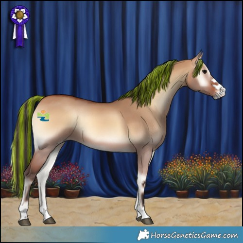 Horse Color:Painted Bay Onyx 