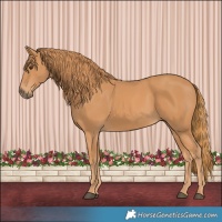 Horse Color:Chestnut Rabicano 