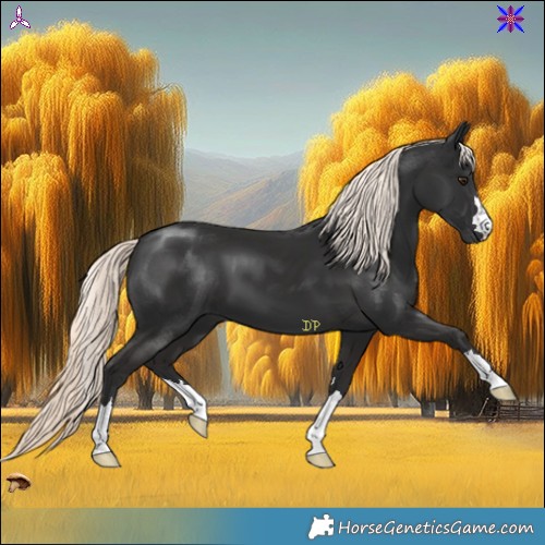 Horse Color:Liver Chestnut Mushroom 