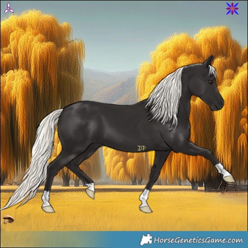 Horse Color:Liver Chestnut Mushroom 