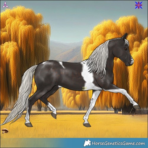 Horse Color:Liver Chestnut Mushroom Tobiano 