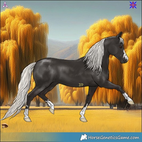 Horse Color:Liver Chestnut Mushroom 