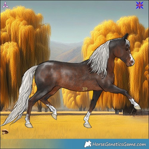 Horse Color:Liver Chestnut Mushroom Rabicano 