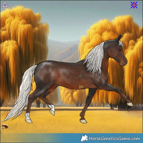 Horse Color:Liver Chestnut Mushroom 