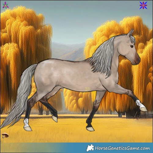 Horse Color:Liver Red Dun Mushroom 