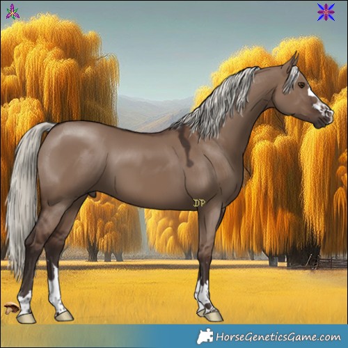 Horse Color:Liver Red Dun Mushroom 