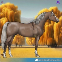 Horse Color:Liver Red Dun Mushroom 