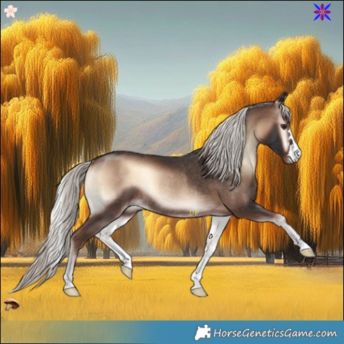 Horse Color:Liver Red Onyx Mushroom Rabicano 