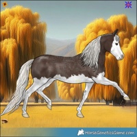 Horse Color:Liver Chestnut Mushroom Splash 