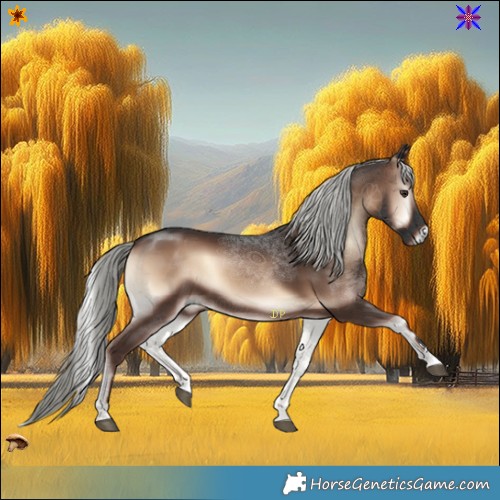 Horse Color:Liver Red Onyx Mushroom 