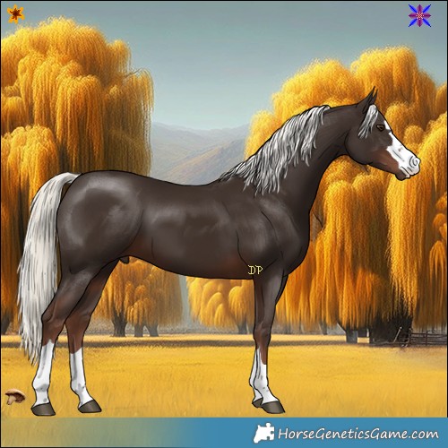 Horse Color:Liver Chestnut Mushroom 