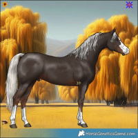 Horse Color:Liver Chestnut Mushroom 