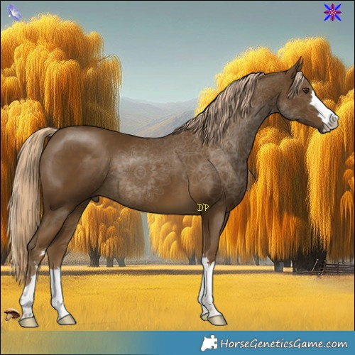 Horse Color:Chocolate Palomino Mushroom 