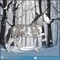 Horse Color:Brown Sabino Splash Appaloosa 