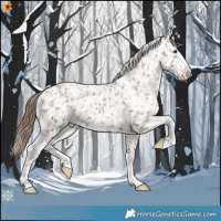 Horse Color:Chestnut Snowflake Varnish