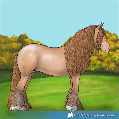 Horse Color:Bay Pearl 