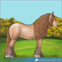 Horse Color:Bay Pearl 