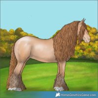 Horse Color:Bay Pearl