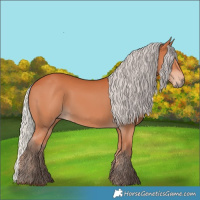 Horse Color:Silver Bay 