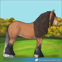 Horse Color:Bay Mushroom 