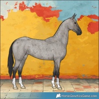 Horse Color:Grullo Roan Brindle 
