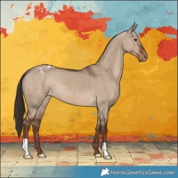 Horse Color:Liver Red Dun Appaloosa 