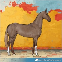 Horse Color:Liver Red Dun Brindle 