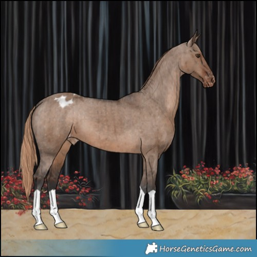 Horse Color:Liver Red Dun Varnish Brindle 