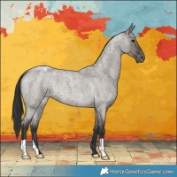 Horse Color:Grullo Roan Varnish Brindle 