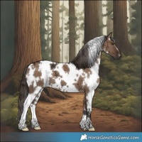 Horse Color:White Spotted Liver Red Dun Brindle 