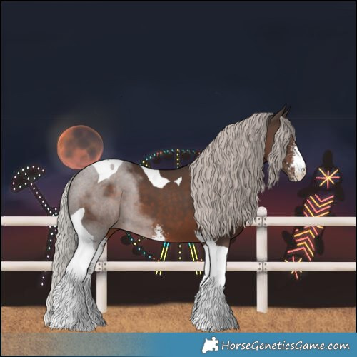 Horse Color:Silver Black Sabino Tobiano 