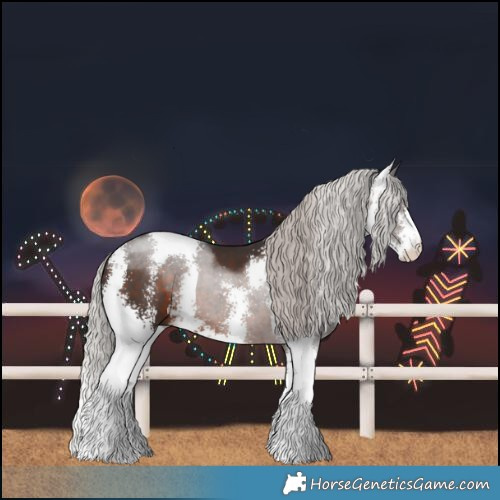Horse Color:Silver Brown Sabino 